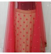 Lehenga Choli Set