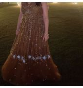 Indo western gown
