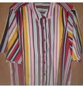Dressberry shirt with strips
